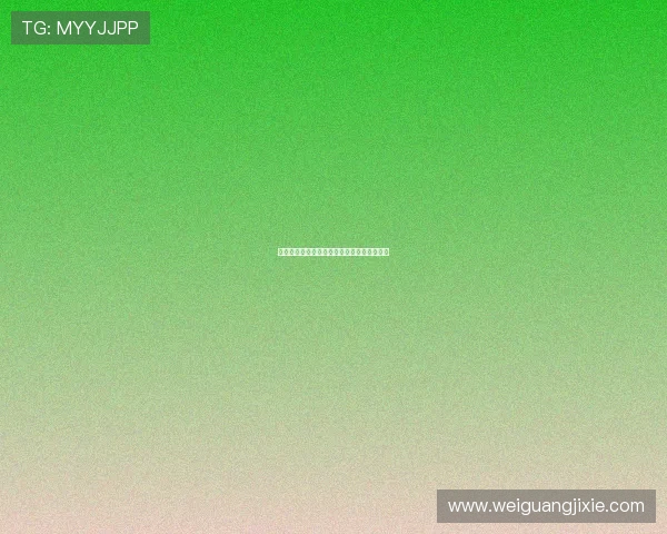 飞星体育深度解析球迷需求精准直播体验提升